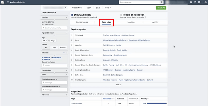Page likes is an extremely relevant tab in Facebook Audience Insights