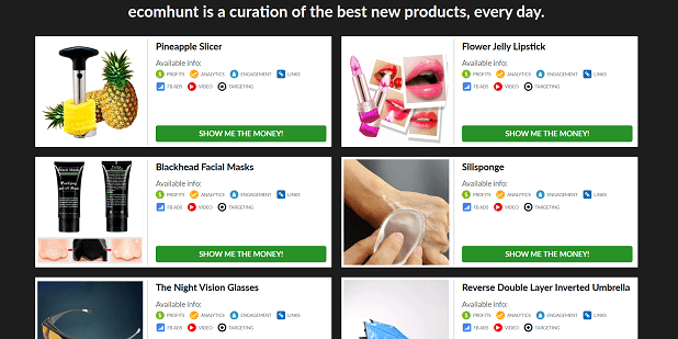The homepage of Ecomhunt shows you winning products