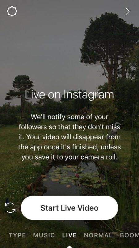 live Instagram