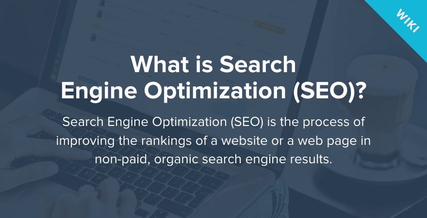Process of Search Engine Optimization - Visual.ly