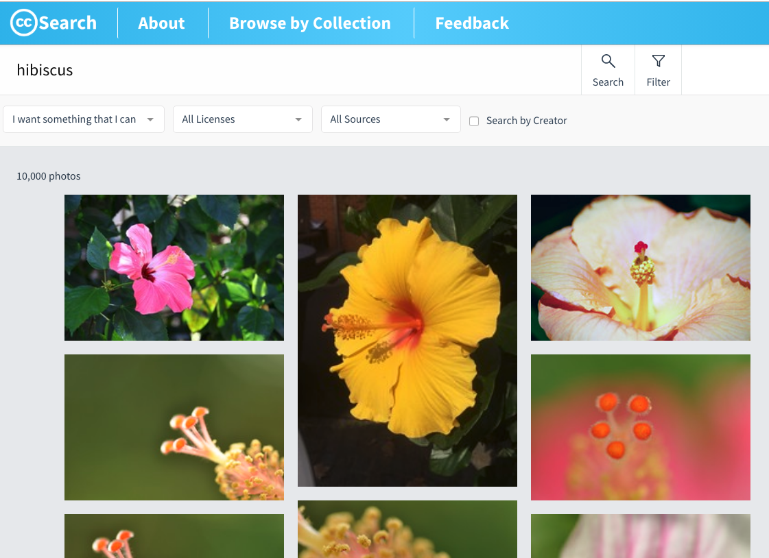 image search engine creative commons