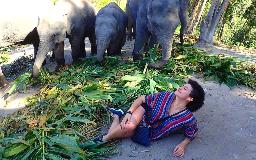 Amanda Gaid with Thai Elephants