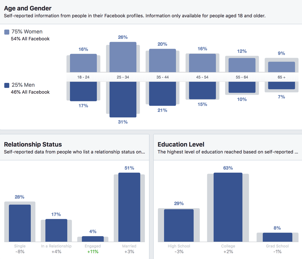 audience information facebook insights