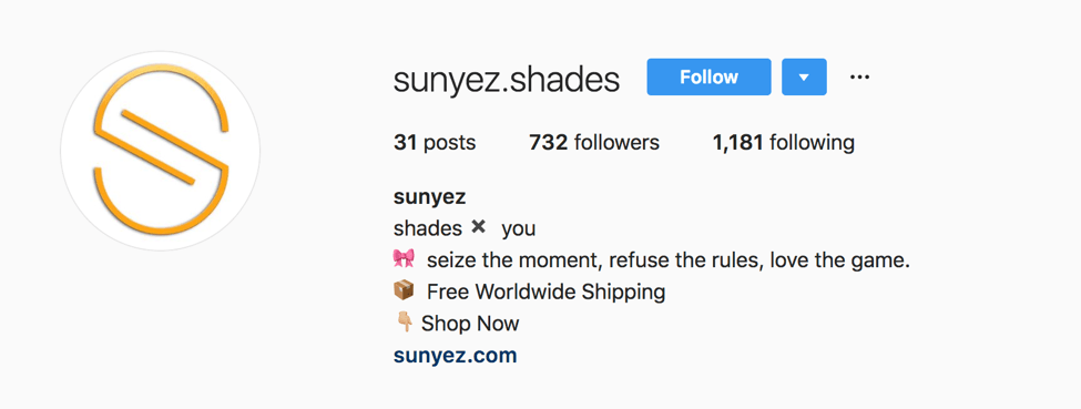 dropshipping instagram profile
