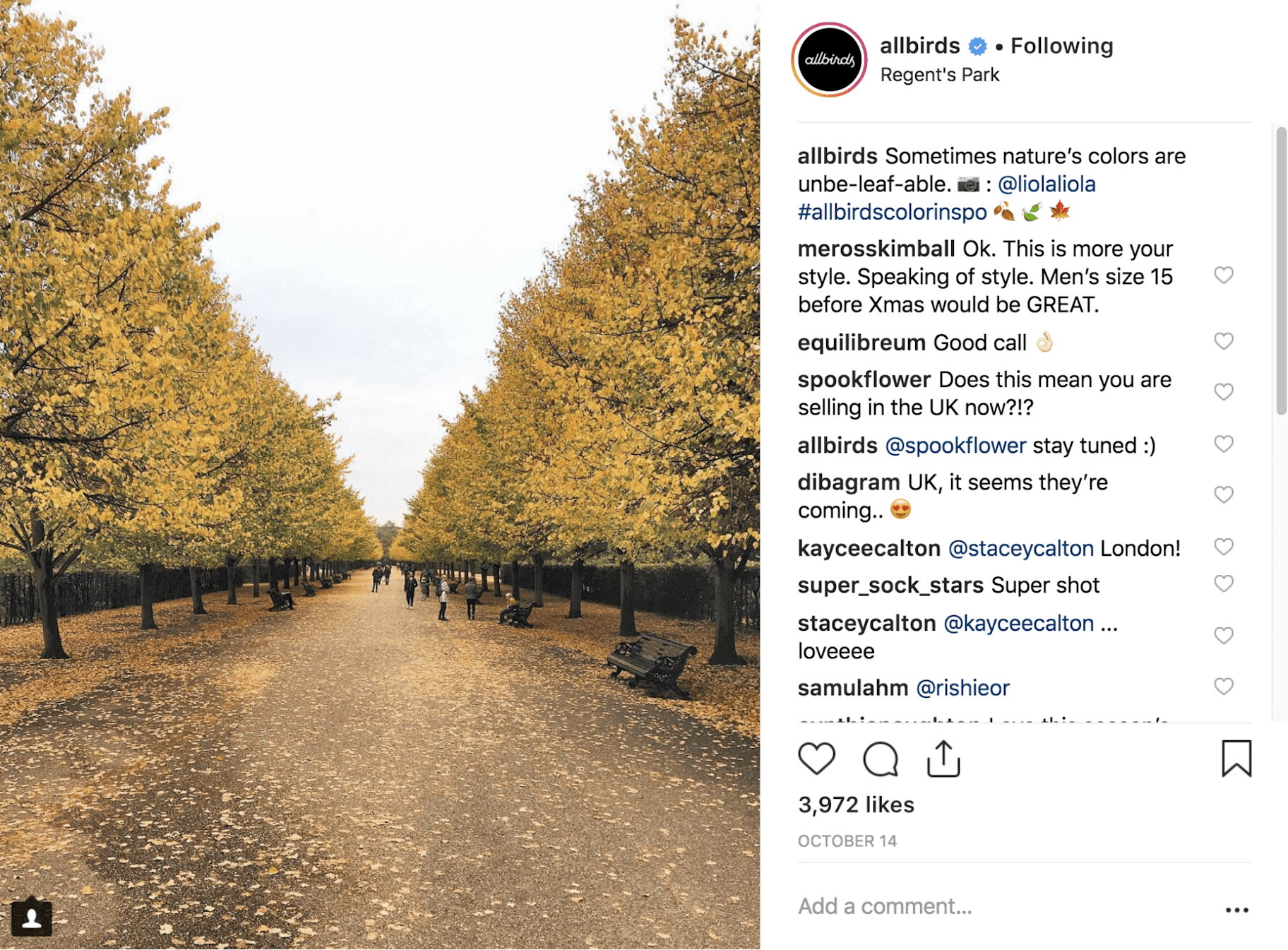 Colors of autumn 94 instagram