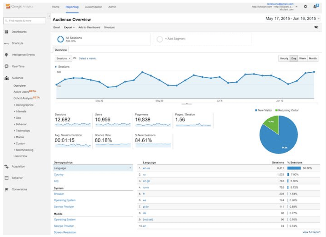 audience overview analytics