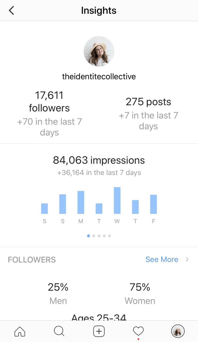 Instagram Profile Insights