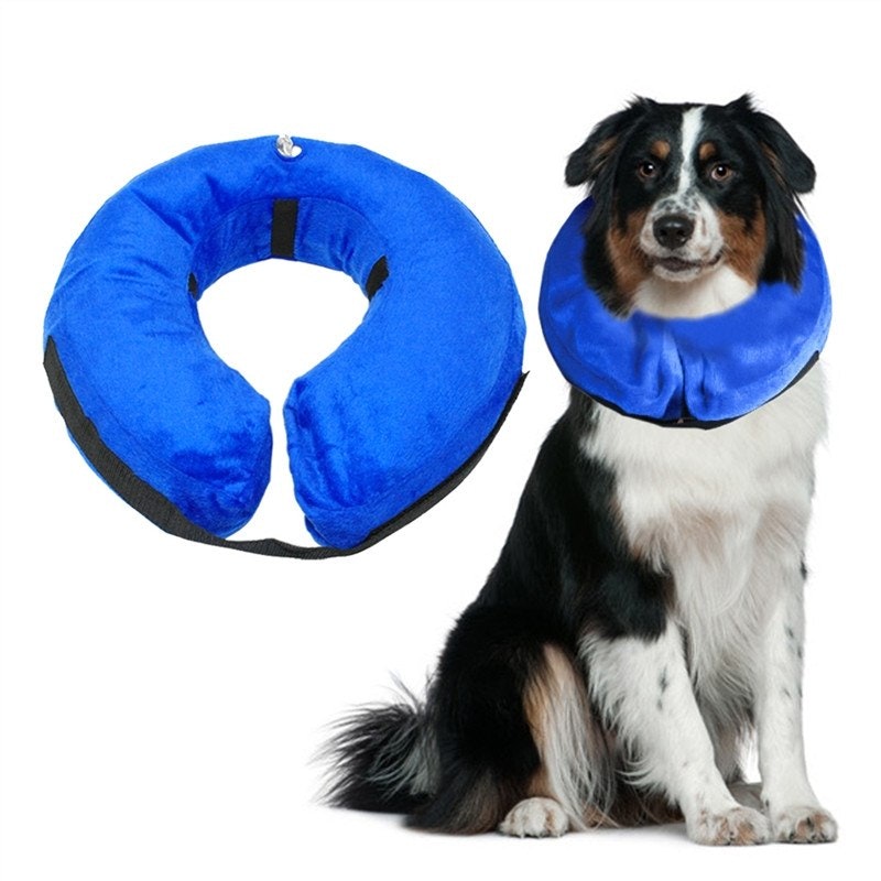 Inflatable Pet Collar