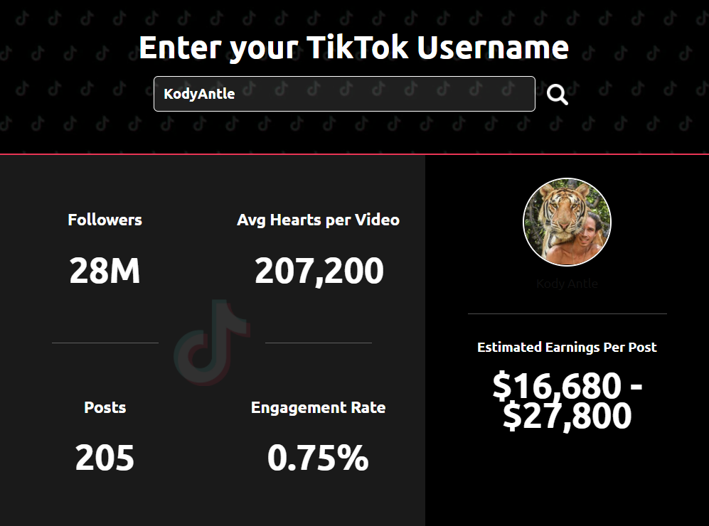 Wie man mit tiktok geld verdienen kann und wie viel - Screenshot des TikTok Einnahmen Kalkulator