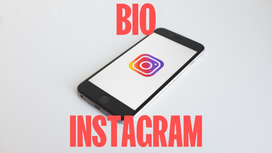 Bio instagram