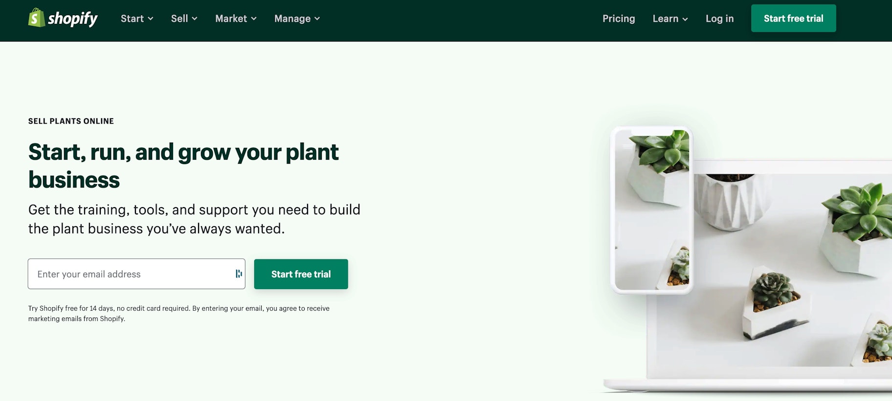 build an online plant store with Shopify