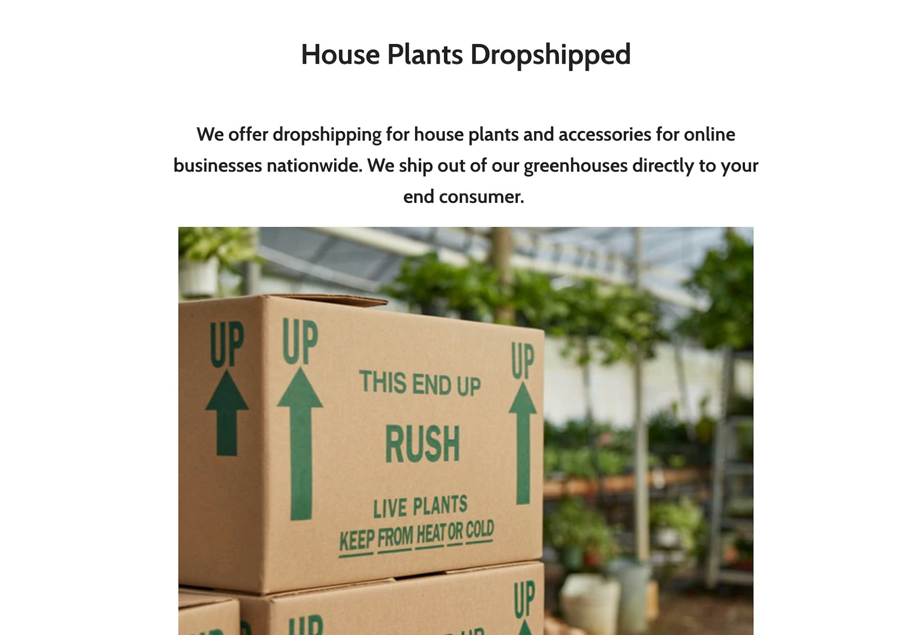 dropship house plants