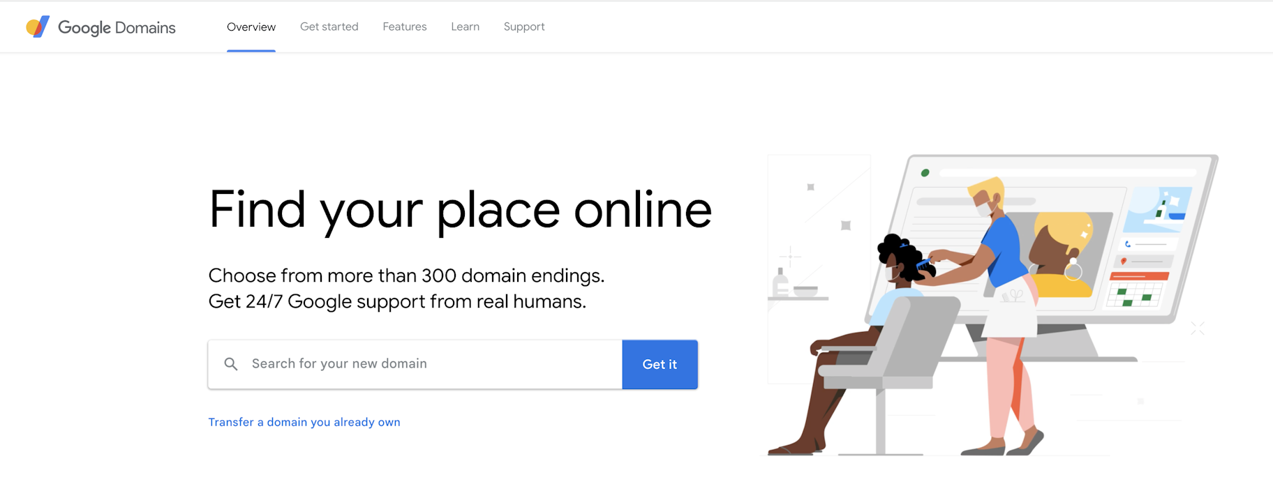 Google's domain service