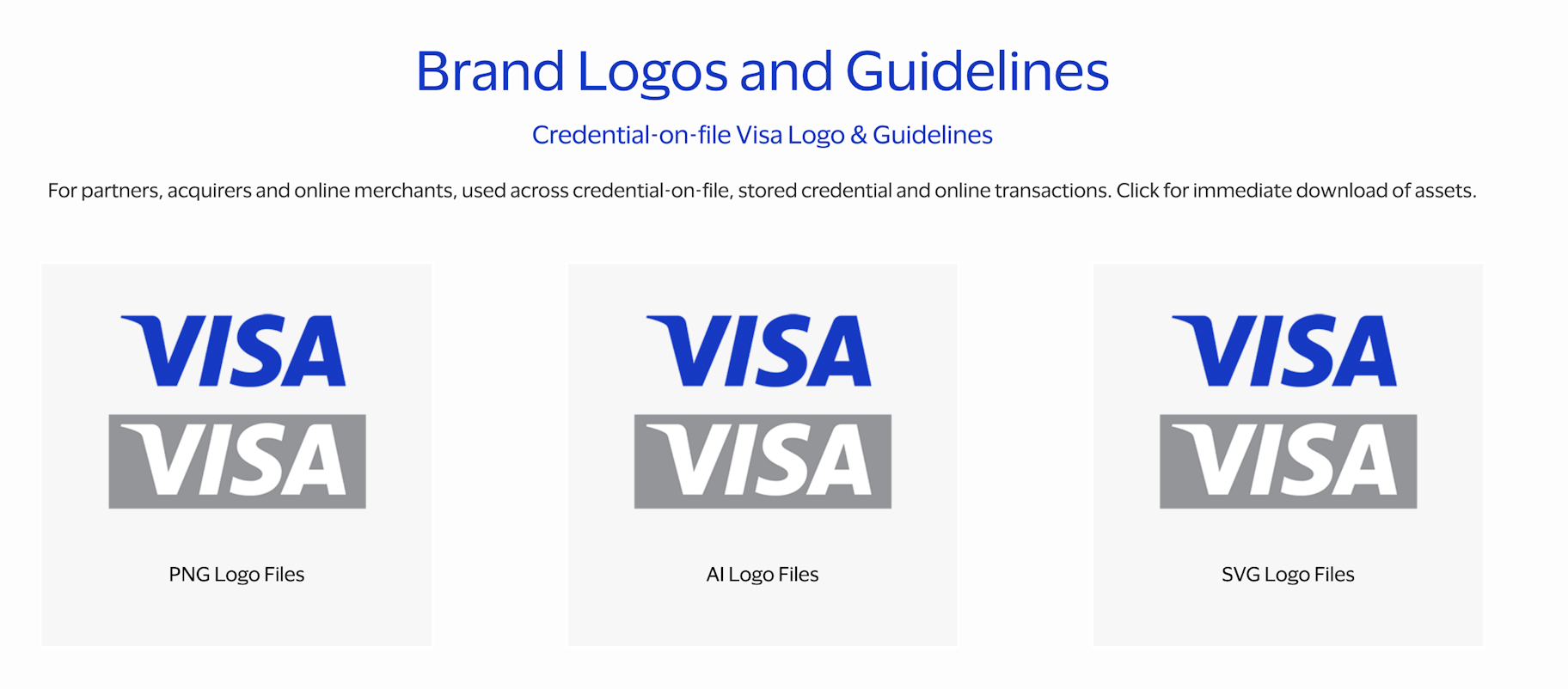 visa brand guidelines